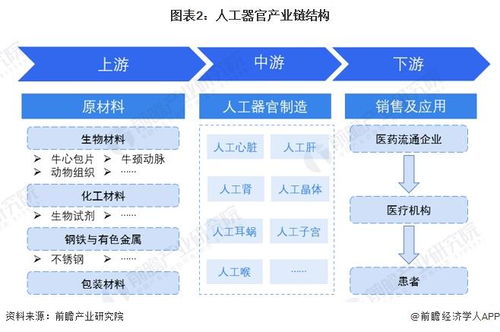 预见2024 2024年中国人工器官行业全景图谱 附市场现状 竞争格局和发展趋势等