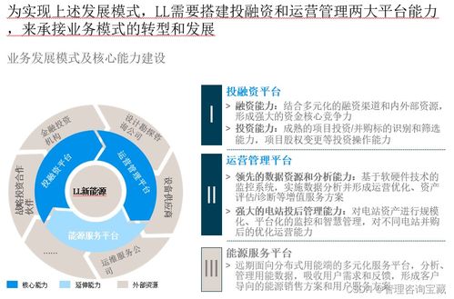 某能源集团五年发展战略报告