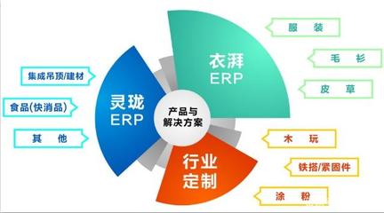 谷泰软件吴孟蛟参加Genexus中国技术交流大会